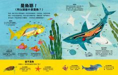 好多好多的魚 - 圖片 4