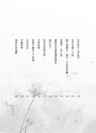 老古董 (新版) - 圖片 2