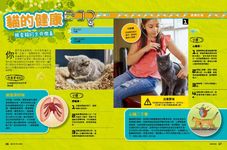 貓咪科學大揭祕: 22個實驗遊戲看穿你家喵星人 - 圖片 5