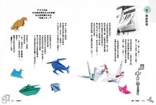 設計．洪新富 - 圖片 8