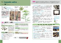 藥用植物大全: 69大科屬, 187種植物, 常用藥學植物學名、型態、性狀、藥效、化學結構詳悉! - 圖片 6