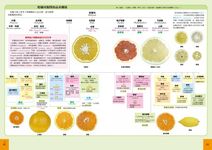 藥用植物大全: 69大科屬, 187種植物, 常用藥學植物學名、型態、性狀、藥效、化學結構詳悉! - 圖片 4