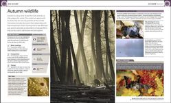 Digital Photography Month by Month: Capture Inspirational Images in Every Season - 圖片 2