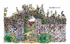 英倫玫瑰 - 圖片 2