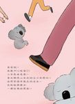 愛地球系列 1: 大火狂燒半個澳洲森林 - 圖片 4