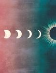 A Few Beautiful Minutes: Experiencing a Solar Eclipse - 圖片 2