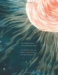 A Few Beautiful Minutes: Experiencing a Solar Eclipse - 圖片 7