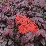 DOSEE麥麥大節慶大書籤/ 貔貅 - 圖片 1
