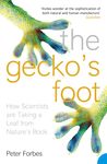 The Gecko's Foot: How Scientists are Taking a Leaf From Nature's Book - 圖片 1