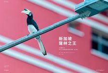 BBC Knowledge知識國際中文版, 九月 - 圖片 10
