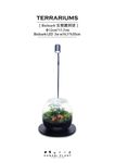 Hanabi plant 煙花蕨醒 生態寶貝球(含Biolark-LED 3W燈 ) - 圖片 1