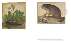 National Gallery of Art: Collections - 圖片 3