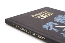 The Night Life of Trees - 圖片 10