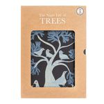 The Night Life of Trees - 圖片 1
