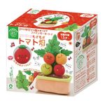 EYEUP番茄農場 - 圖片 1