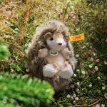 Steiff金耳釦泰迪熊/ Joggi Baby Hedgehog刺蝟 - 圖片 3