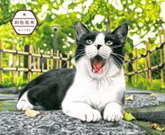 こだわり塗り絵シリーズ そとねこ Masayuki Oki's the Free-roaming Cats (ダウンロード特典付) - 圖片 2