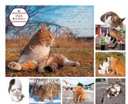 こだわり塗り絵シリーズ そとねこ Masayuki Oki's the Free-roaming Cats (ダウンロード特典付) - 圖片 4