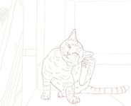 こだわり塗り絵シリーズ そとねこ Masayuki Oki's the Free-roaming Cats (ダウンロード特典付) - 圖片 8