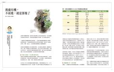 農訓, 八月 - 圖片 3