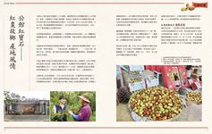 農訓, 八月 - 圖片 7