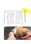 元野良猫チャチャの毎日 - 圖片 7
