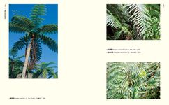 台灣野生食用植物圖錄 - 圖片 6