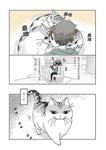 今晚有貓伴身邊 6 - 圖片 4