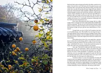 Korean Temple Cooking: Lessons on Life and Buddhism, with Recipes, the Life and Work of Jeongkwan Snim - 圖片 5