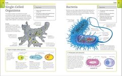 Super Simple Biology: The Ultimate Bitesize Study Guide - 圖片 3