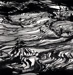 Silver Haikus: Asia Photographed by Michael Kenna (Bilingual Ed.) - 圖片 9