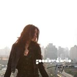 2007全新創作專輯: Goodbye & Hello - 圖片 1