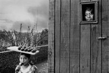 Sebastião Salgado - 圖片 4