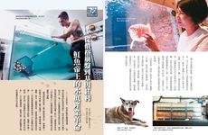 AGRI鄉間小路, 一月 - 圖片 4