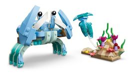 LEGO樂高積木/ 創意百變3合1/ 31385/ 海洋動物: 美麗海豚 - 圖片 4
