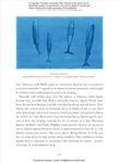 Whale: The Illustrated Biography - 圖片 3