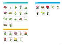 クリエイターのための花図鑑: デザイン・イラスト・クラフトなどに役立つ - 圖片 3