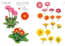 クリエイターのための花図鑑: デザイン・イラスト・クラフトなどに役立つ - 圖片 5