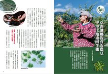 AGRI鄉間小路, 三月 - 圖片 9