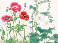 Spring in Japan: Woodblock Prints by Hokusai, Hiroshige and Other Artists - 圖片 9
