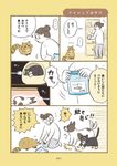 犬猫3匹、撫でても撫でても手が足りない - 圖片 8