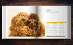 National Geographic Photo Ark Babies: Growing Up in the Animal World - 圖片 6