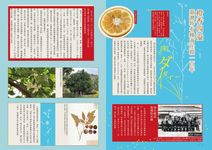 薰風 (1月) - 圖片 7