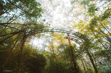 廃墟幻想 - 圖片 7