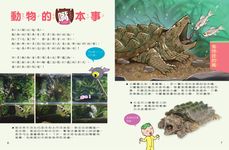 新小牛頓, 七月 - 圖片 3