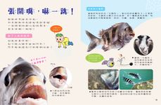 新小牛頓, 七月 - 圖片 7