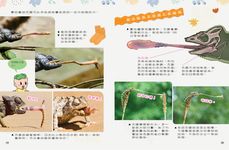 新小牛頓, 七月 - 圖片 4