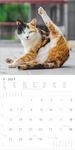 2027德國 ALPHAEDITION 掛曆/ Grid/ Funny Cats - 圖片 6