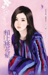 槓上桃花星 (電子書) - 圖片 1