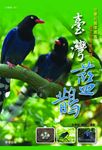 臺灣藍鵲 (電子書) - 圖片 1